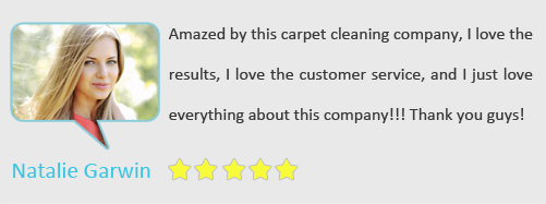 Customer Testimonials